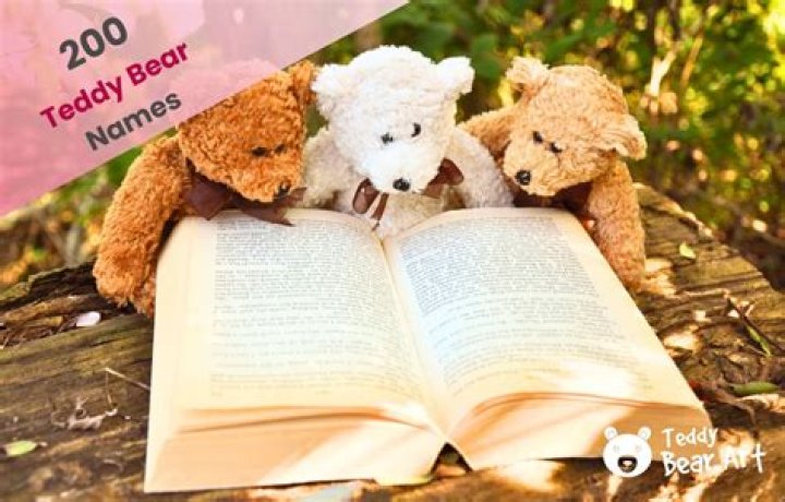 200+ Teddy Bear Names: Cute, Funny & Unique Ideas