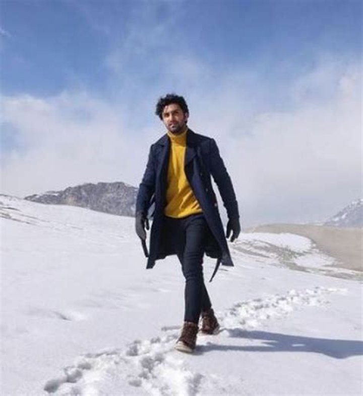 Ahad Raza Mir's Age & Career: Bio, Facts & More