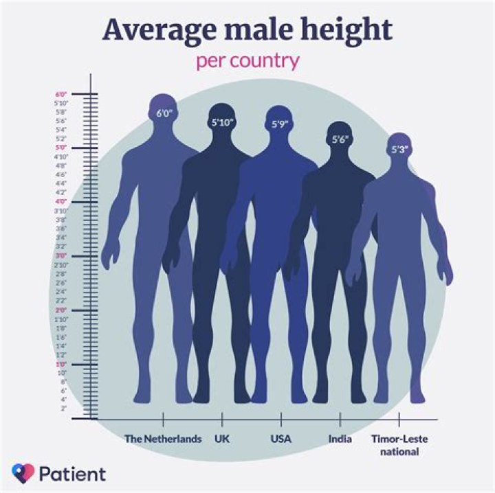 Average Height of the American Woman: A Comprehensive Guide
