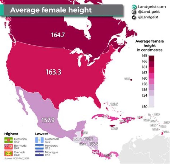 Average Height of Women in the United States: A Comprehensive Guide