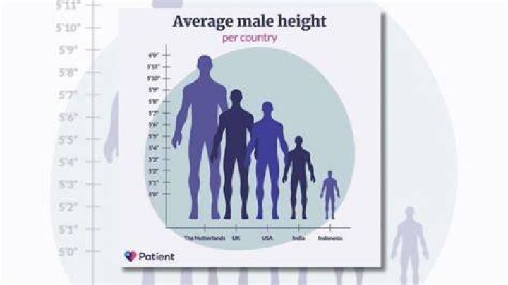 Average US Women Height: Comprehensive Insights and Trends