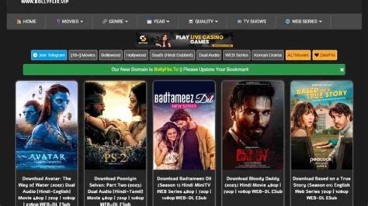 Avoid Bollyflix: Alternatives to Watch Movies Safely Online
