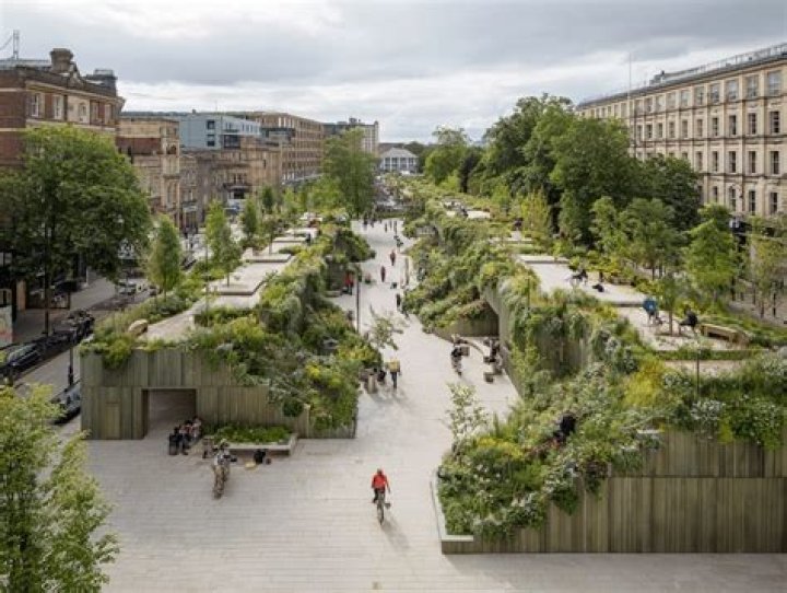 Baltimore Canopy: Enhancing Urban Green Spaces for a Sustainable Future