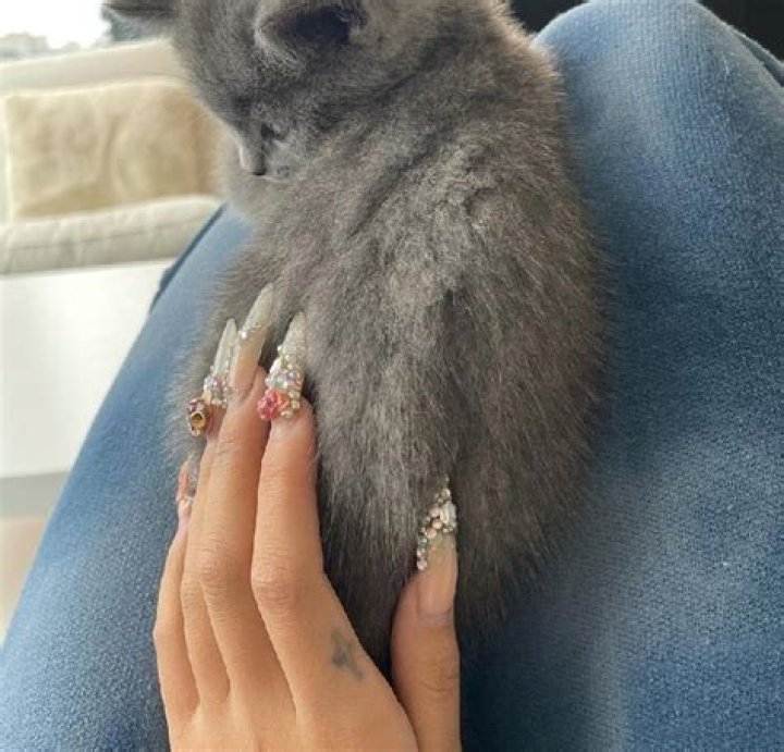 Bunni Emmie: Bio, Age, Height, & More! | Latest Updates