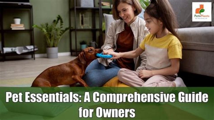 Can Dogs Have Kin Tags? A Comprehensive Guide for Pet Owners