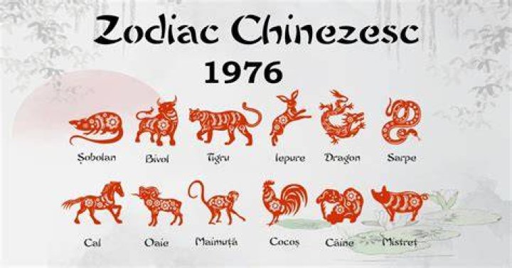 Chinese Astrology 1976: Unveiling the Zodiac, Traits, and Future Predictions