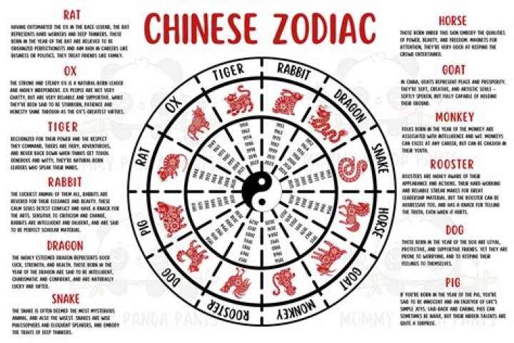 Chinese Astrology for 1974: A Comprehensive Guide to Your Zodiac Sign and Destiny