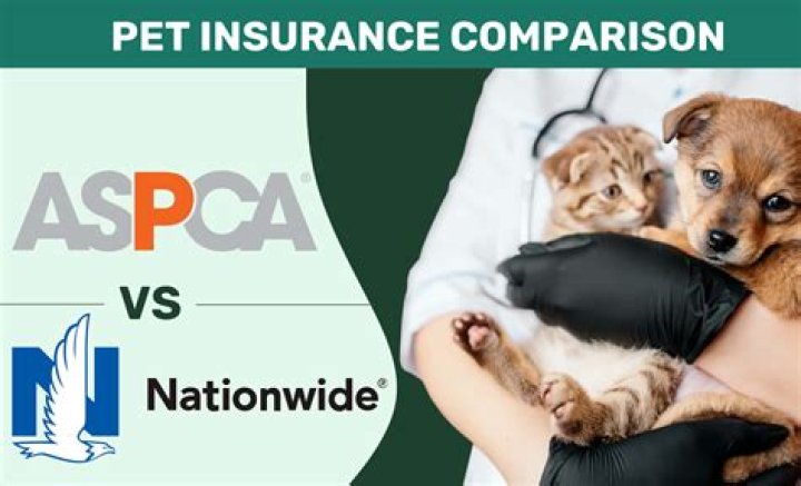 Comprehensive ASPCA Insurance Reviews: Everything You Need to Know