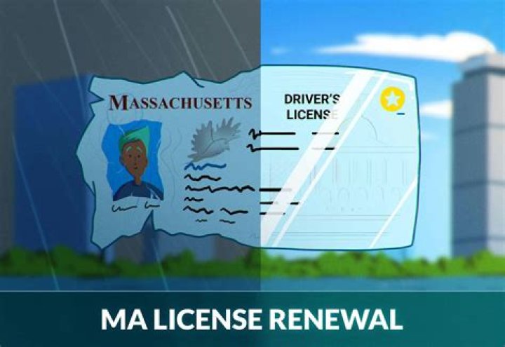 Comprehensive Guide to Registry of Motor Vehicles in Massachusetts License Renewal