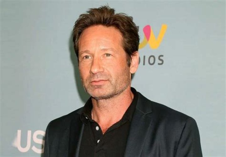 David Duchovny Net Worth: A Comprehensive Look at the Wealth and Career of the Iconic Actor