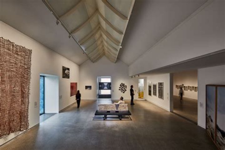 Discover the Allure of the Museum of Contemporary Art and Diego: A Cultural Paradise