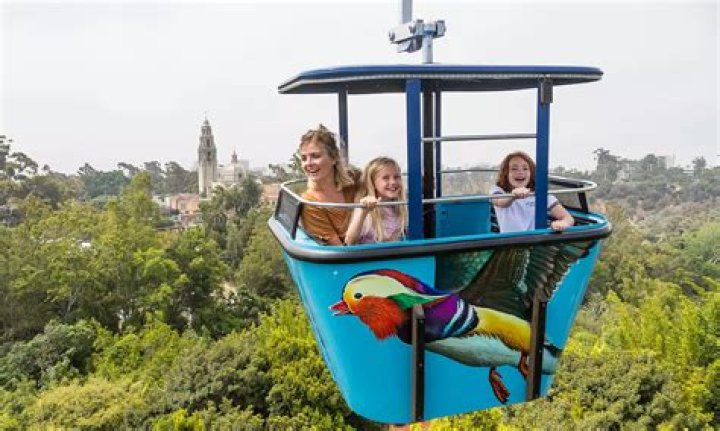 Discover the Best Deals with San Diego Groupon