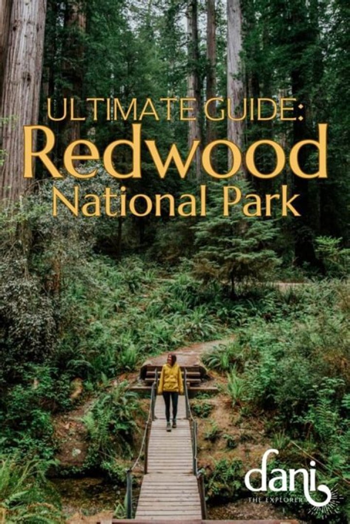 Discover the Charm of S Redwood City: Your Ultimate Guide