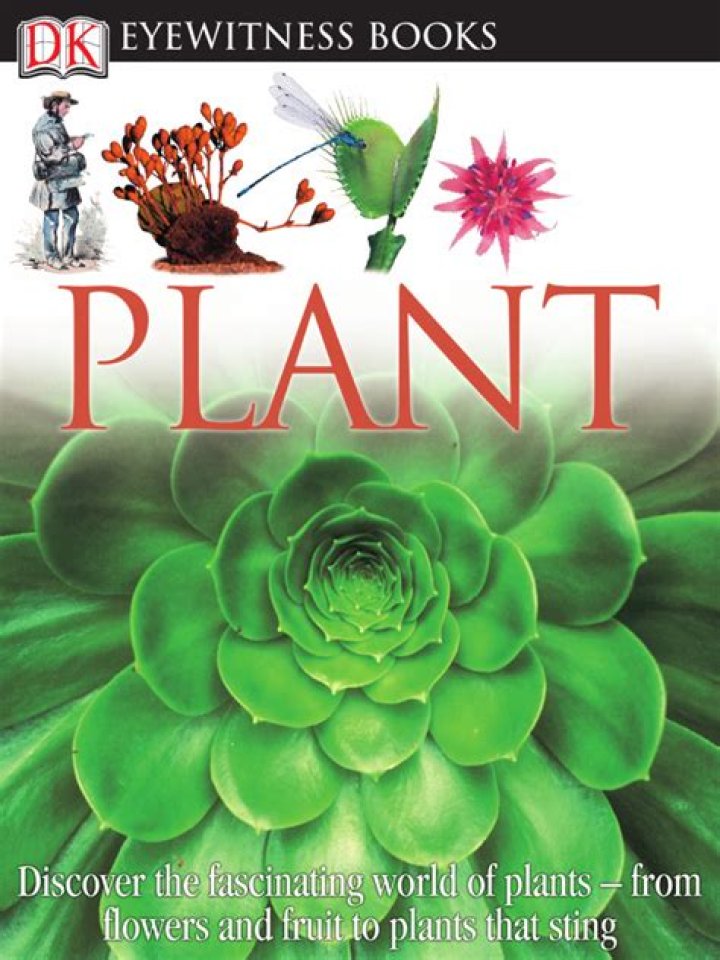 Discover the Fascinating World of Plants from Ocean