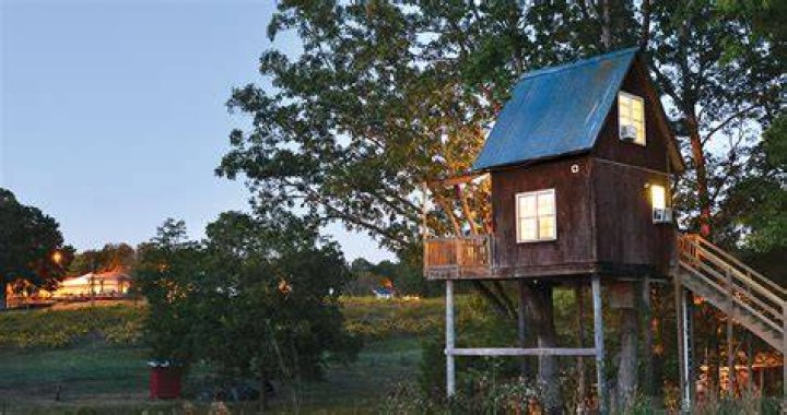 Discover the Hidden Gem: Treehouse Winery in Monroe