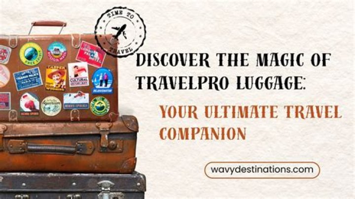 Discover the Magic of Timeless Tours: Your Ultimate Travel Companion