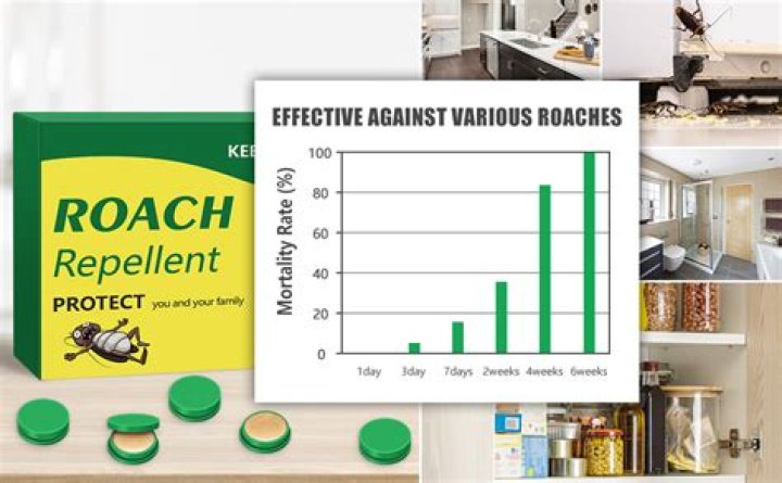 Effective and Environmentally Friendly Roach Killer Solutions