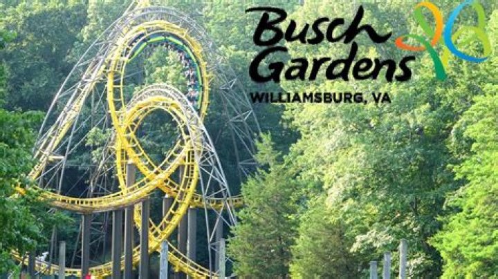 Explore the Thrills of Williamsburg Theme Park Busch Gardens