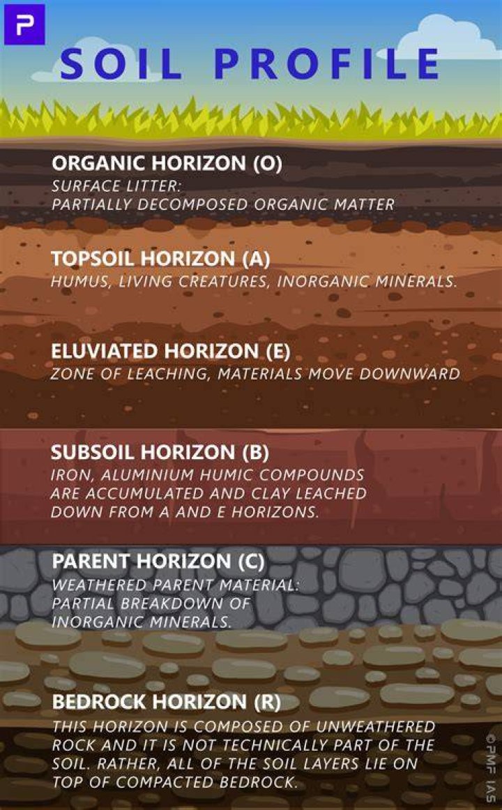 Exploring Different Horizons: A Journey to Discover New Perspectives