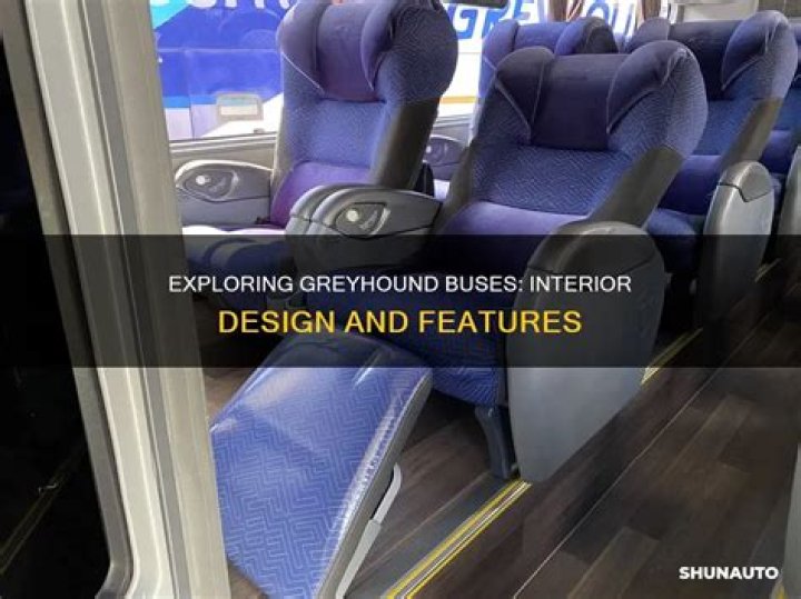 Exploring the Interior of Greyhound Bus: A Comprehensive Guide