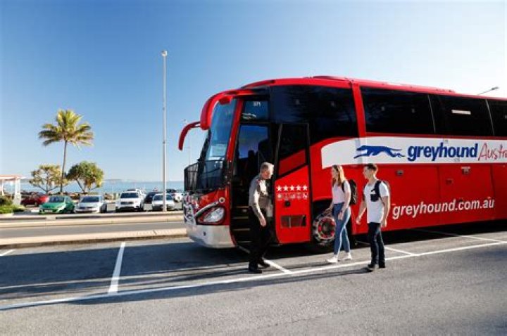 Exploring the Joys and Practicalities of Traveling on a Greyhound Bus