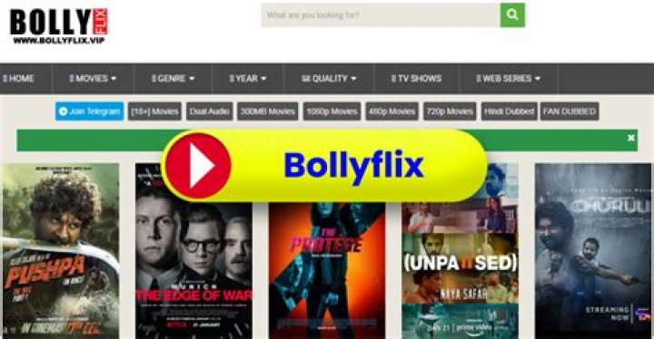 Find Free Movies: 300MB Movies, Bollywood & More!