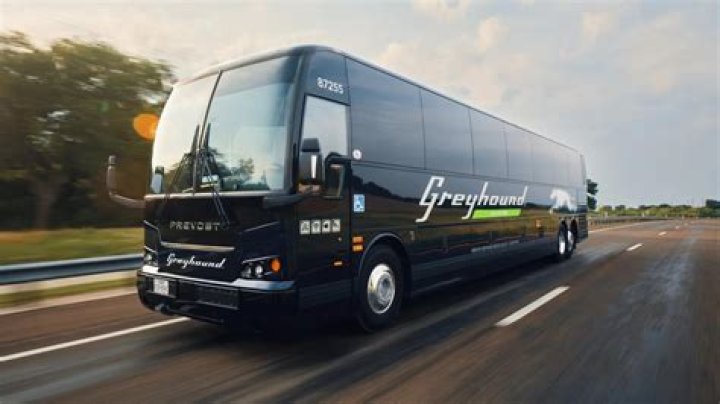 Greyhound Bus Service: Your Reliable Transportation Companion