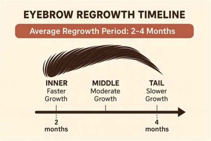How Do You Make Eyebrows Grow Back: A Comprehensive Guide to Regrowth