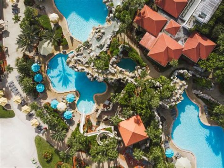 Hyatt Regency Grand Cypress Reviews: A Comprehensive Guide to Your Dream Stay