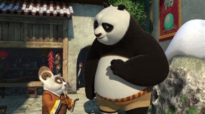 Kung Fu Panda Mentor: The Path to Mastery and Wisdom