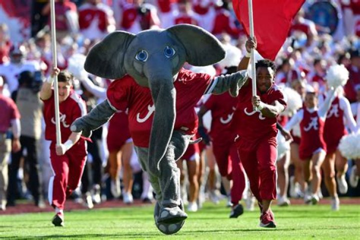 Mascot for Alabama Crimson Tide: The Ultimate Guide