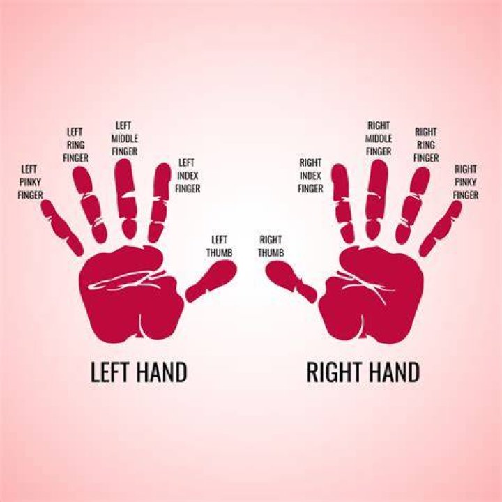 Meme of Middle Finger: The Ultimate Guide to Understanding Its Meaning, Popularity, and Impact
