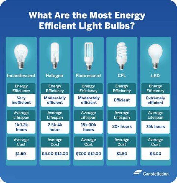 Michigan Bulb Company Website: A Comprehensive Guide to Your One-Stop Shop for Quality Bulbs