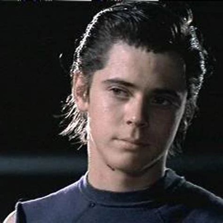 Ponyboy Curtis: The Resilient Character from The Outsiders
