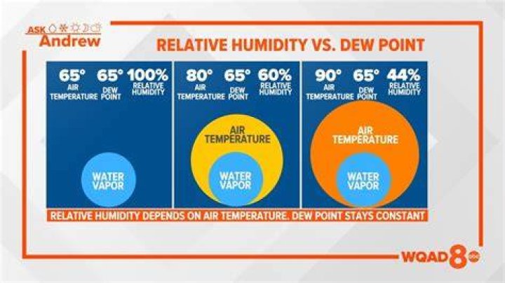 San Jose CA Humidity: A Comprehensive Guide to Understanding and Managing Local Climate