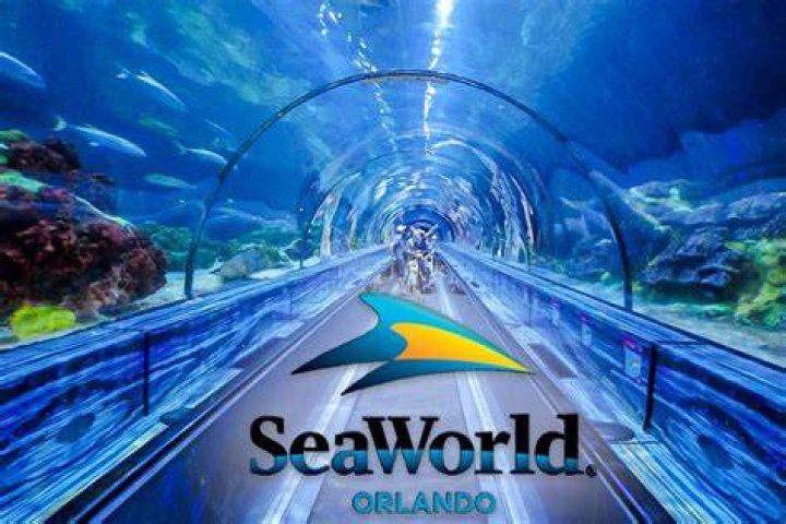SeaWorld and Diego Itinerary: Your Ultimate Guide to Adventure