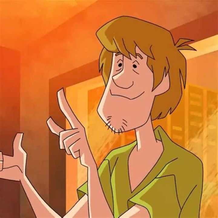 Shaggy Rogers: The Mystery Solver with a Heart of Gold