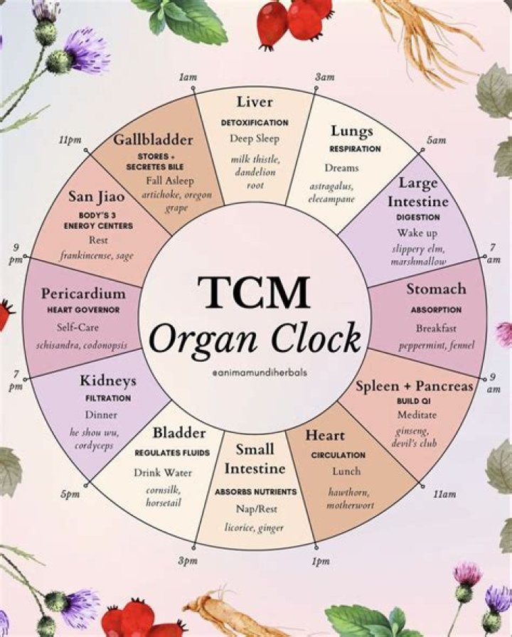 TCM for ED: Alternative Therapy & Herbal Remedies - Learn More