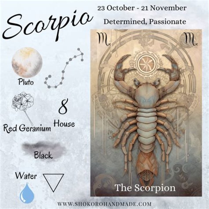 Traits of a Scorpio Man: Understanding the Mysterious and Passionate Zodiac Sign