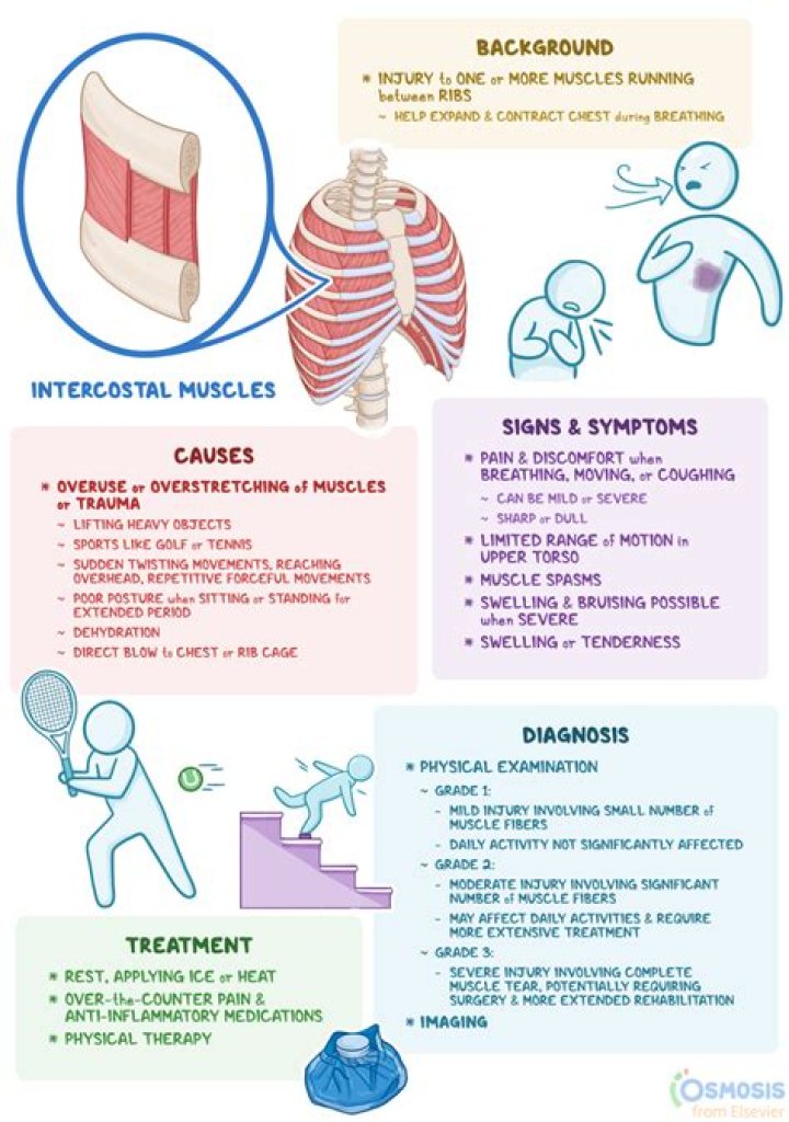 Understanding Abdomen Pain from Coughing: Causes, Symptoms, and Effective Solutions