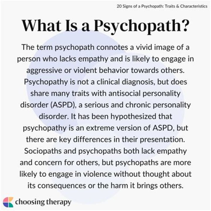 Understanding Psychopathy: A Comprehensive Guide to Psychopath Traits and Characteristics