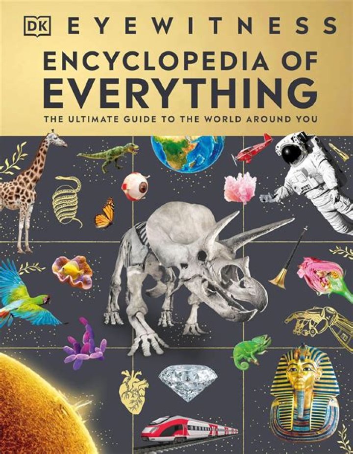 Unveiling the Fascinating World of Neileal: A Comprehensive Guide