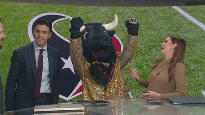 Unveiling the Role of Texans NFL Coach in Shaping the Team's Future