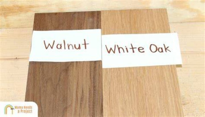 Walnut or Mahogany: A Comprehensive Guide to Choosing the Perfect Wood for Your Needs