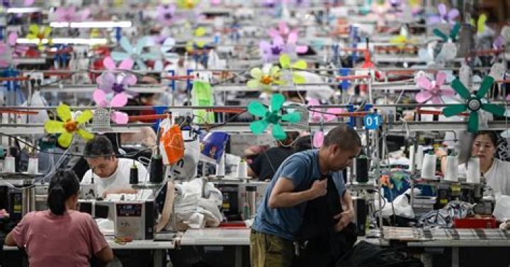 What is Shein? A Comprehensive Guide to the Global Fashion Phenomenon