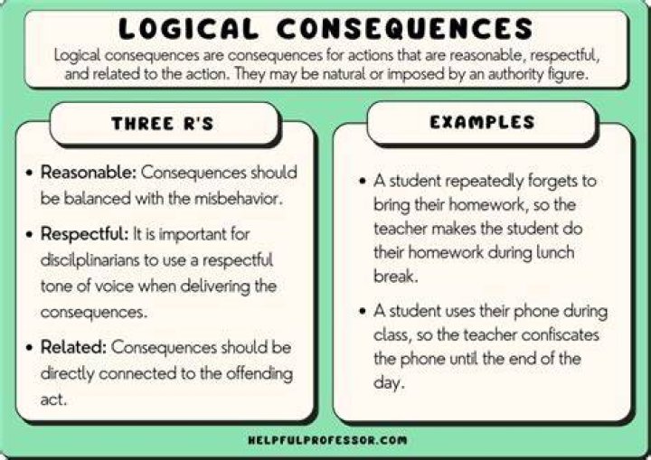 What is the Meaning of Consequences in Various Contexts?