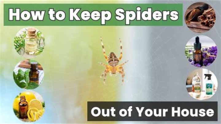 What Keeps Spiders Away Naturally: A Comprehensive Guide to Spider-Free Living